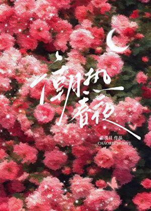 何昊阳个人资料