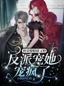 紫天绝技pdf 百度